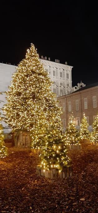 Romantica Mansarda Nel Cuore Di Torino Экстерьер фото
